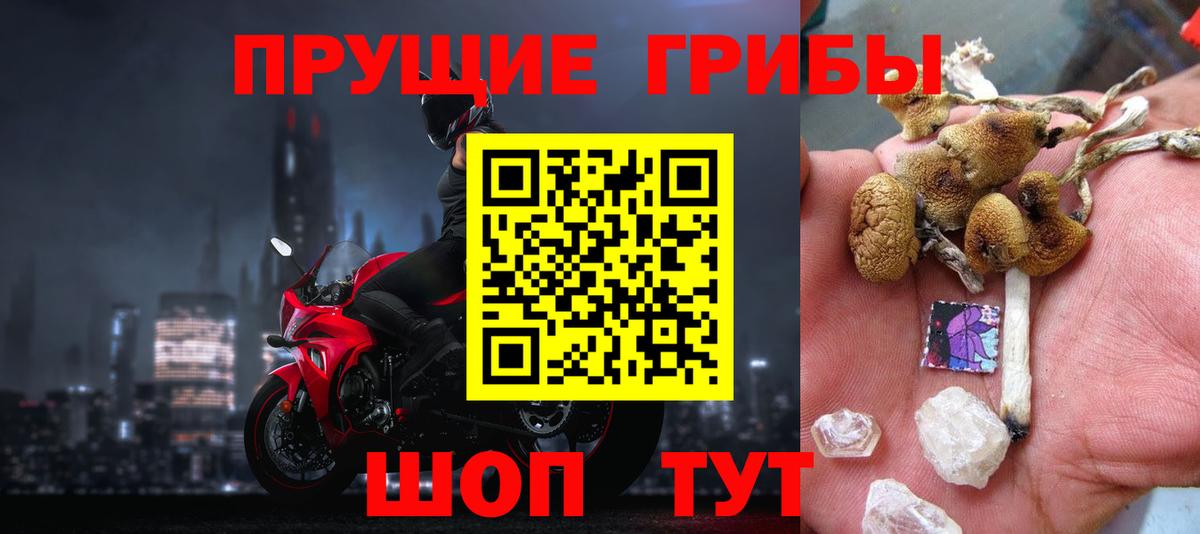 Псилоцибиновые грибы GOLDEN TEACHER  Вход с VPN  Псилоцибиновые грибы Cubensis  Кимовск 